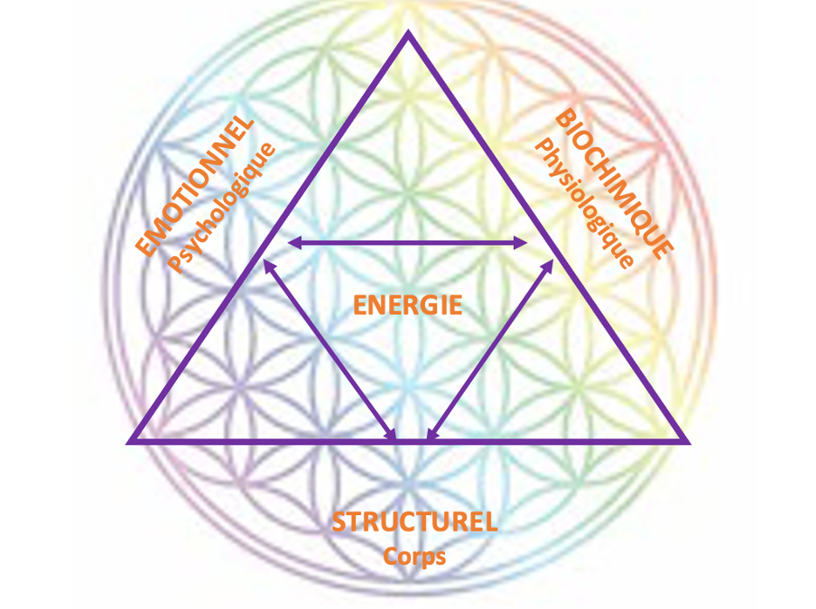 Connaissez vous le triangle de la santé?